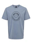 ONLY & SONS Rundhalsshirt ONSLAMER LIFE REG LOGO SS TEE Grau/Blau/Dunkelblau