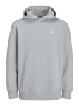 Jack & Jones Kapuzensweatshirt JCOTRIANGLE SWEAT HOOD SN Hellgrau/Grau