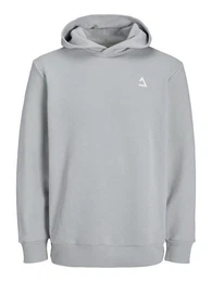 Kapuzensweatshirt JCOTRIANGLE SWEAT HOOD SN