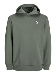 Jack & Jones Kapuzensweatshirt JCOTRIANGLE SWEAT HOOD SN Dunkelgrün/Grün/Hellgrau