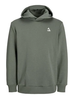 Jack & Jones Kapuzensweatshirt JCOTRIANGLE SWEAT HOOD SN
