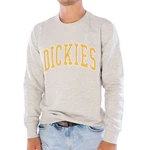 Dickies Sweatshirt Aitkin Braun/Blau/Grau/Gold/Rot Dickies Sweatshirt Aitkin Braun/Blau/Grau/Gold/Rot