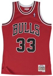 T-Shirt Swingman Chicago (1-tlg)