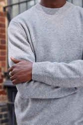 Next Rundhalspullover Premium Regular Fit Lambswool 