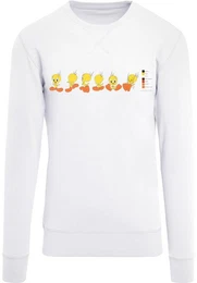 Rundhalspullover Herren (1-tlg)