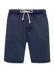 PROTEST CARVER Walkshorts Ground Blue