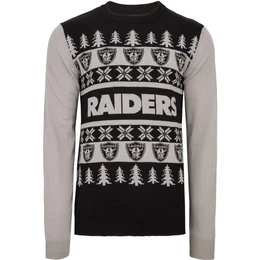 Rundhalspullover NFL Teams Ugly XMAS Weihnachten