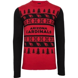 Rundhalspullover NFL Teams Ugly XMAS Weihnachten