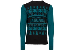 Forever Collectibles Rundhalspullover NFL Teams Ugly XMAS Weihnachten Türkis/Grün