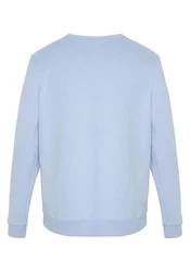 Chiemsee Sweatshirt im Label-Look Hellblau/Blau