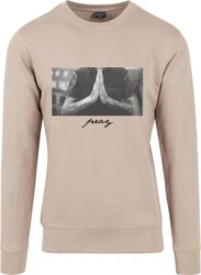 Mister Tee Rundhalspullover Pray Crewneck (1-tlg) Grau/Beige/Braun