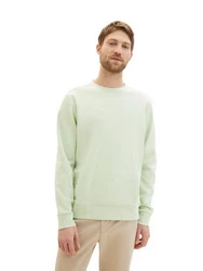 TOM TAILOR Strickpullover PRINTED CREWNECK Khaki/Hellgrün/Grün