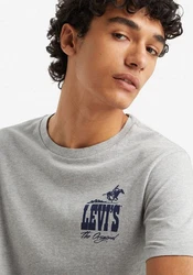 Levi's T-Shirt Grau/Dunkelgrau