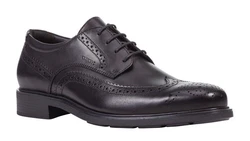 Geox Schnürschuh U Dublin B schwarz
