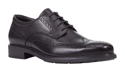 Geox Schnürschuh U Dublin B schwarz