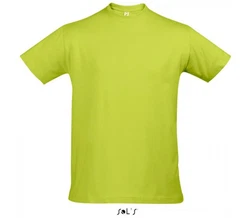SOLS Rundhalsshirt Imperial Herren T-Shirt Grün/Neonfarben