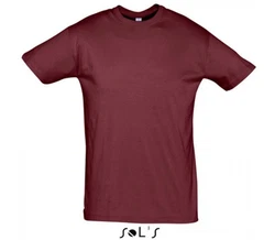 SOLS Rundhalsshirt Regent Herren T-Shirt 