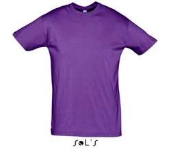 SOLS Rundhalsshirt Regent Herren T-Shirt 