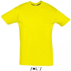 SOLS Rundhalsshirt Regent Herren T-Shirt 