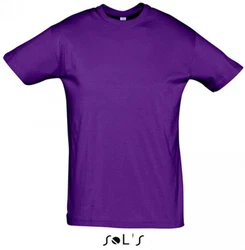 SOLS Rundhalsshirt Regent Herren T-Shirt 
