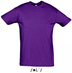 SOLS Rundhalsshirt Regent Herren T-Shirt 
