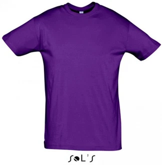 SOLS Rundhalsshirt Regent Herren T-Shirt 