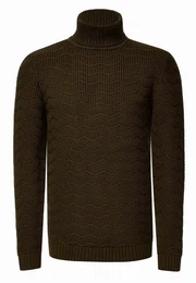 Rollkragenpullover im angesagten Design