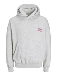 Jack & Jones Sweatshirt Santorini Grau/Lila/Fliederfarben