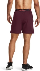 Under Armour Shorts UA VANISH WOVEN 6IN SHORTS dunkel kastanienbraun