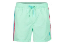 Badeshorts VERT RETRO 14'' SWIM SHORTS