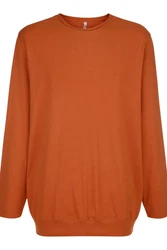 Boston Park T-Shirt Langarmshirt Bauchfit Rundhals Braun/Rot/Orange