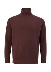 s.Oliver Strickpullover Rollkragenpullover 