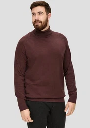 Strickpullover Rollkragenpullover aus Baumwolle
