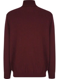 Strickpullover JOLIETTO mit Rollkragen
