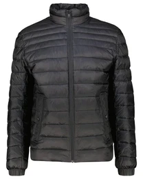 Steppjacke Herren Steppjacke ODEN 1 (1-St)