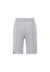 Alpha Industries Sweatshorts AI Sweat Short Grau/Hellgrau