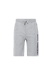 Alpha Industries Sweatshorts AI Sweat Short Grau/Hellgrau