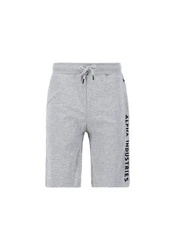 Alpha Industries Sweatshorts AI Sweat Short Grau/Hellgrau