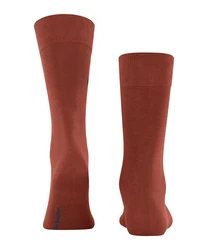 Burlington Socken Dublin 