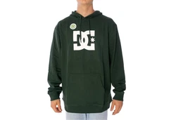 DC Shoes Kapuzensweatshirt DC Star grün/weiß