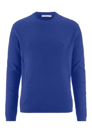 Strickpullover Regular aus reiner Bio-Baumwolle (1-tlg)