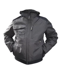 Dassy Winterjacke Austin (1-St) Grau/Dunkelgrau
