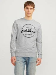 Jack & Jones Sweatshirt JJFOREST SWEAT CREW NECK Grau/Khaki
