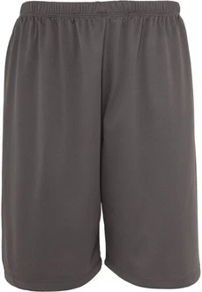Urban Classics Bball Mesh Shorts (1-tlg)
