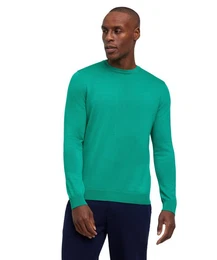 Strickpullover (1-tlg) aus reiner, extrafeiner Merinowolle