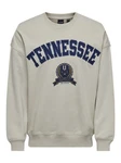 ONLY & SONS Sweatshirt ONSLAWSON LIFE VINTAGE CREW NECK Grau/Blau/Beige/Braun