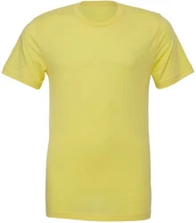 Bella + Canvas Unisex Jersey Short Sleeve T-Shirt 
