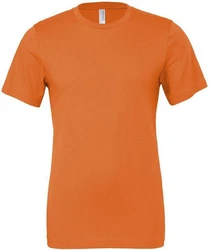 Bella + Canvas Unisex Jersey Short Sleeve T-Shirt 