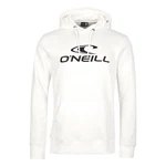 O'Neill Hoodie Logo Hoodie 
