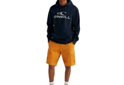 O'Neill Hoodie Logo Hoodie 